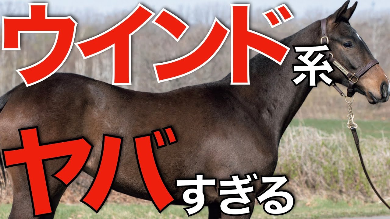 驚異の牝系！ウインドインハーヘアの血統馬たちがクラシックを席巻するか。