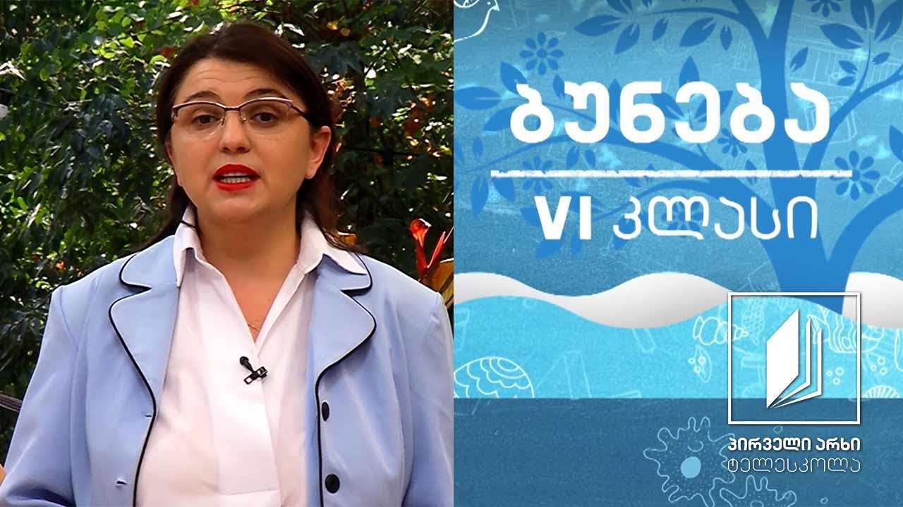 ბუნება, VI კლასი - ადამიანის სხეულის ნაწილები #ტელესკოლა