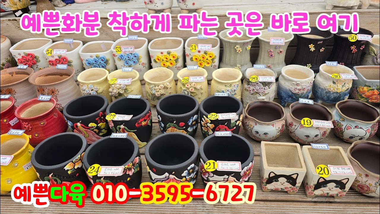 260316📍#예쁜다육 더블루분 더팟분 달팽이분 옥공방분 언분 바이수분 누누속파기분 토마루분 해령분 길분 건이분 돌담분 일사분