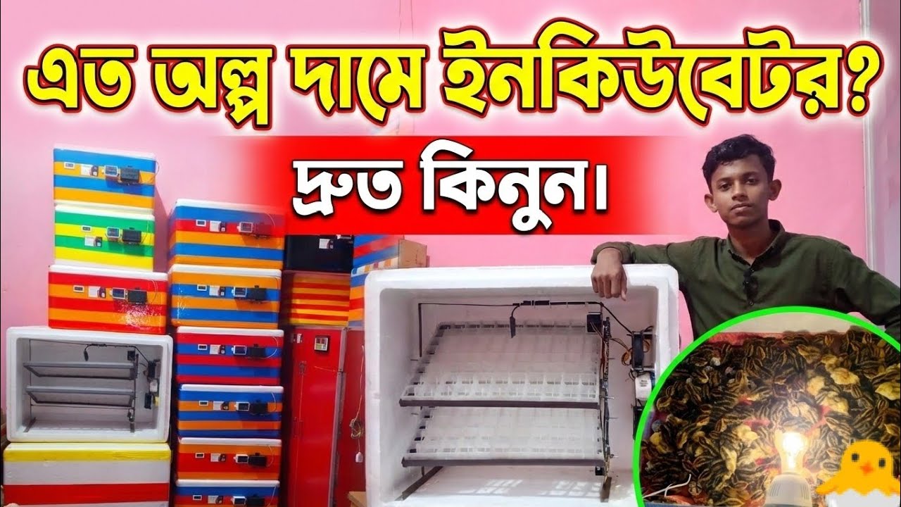 ৪০, ৮০ এবং ২৭৬ ডিমের ইনকিউবেটর | সেমি অটোমেটিক এবং ফুলি অটোমেটিক ইনকিউবেটর  ভিডিও. 
