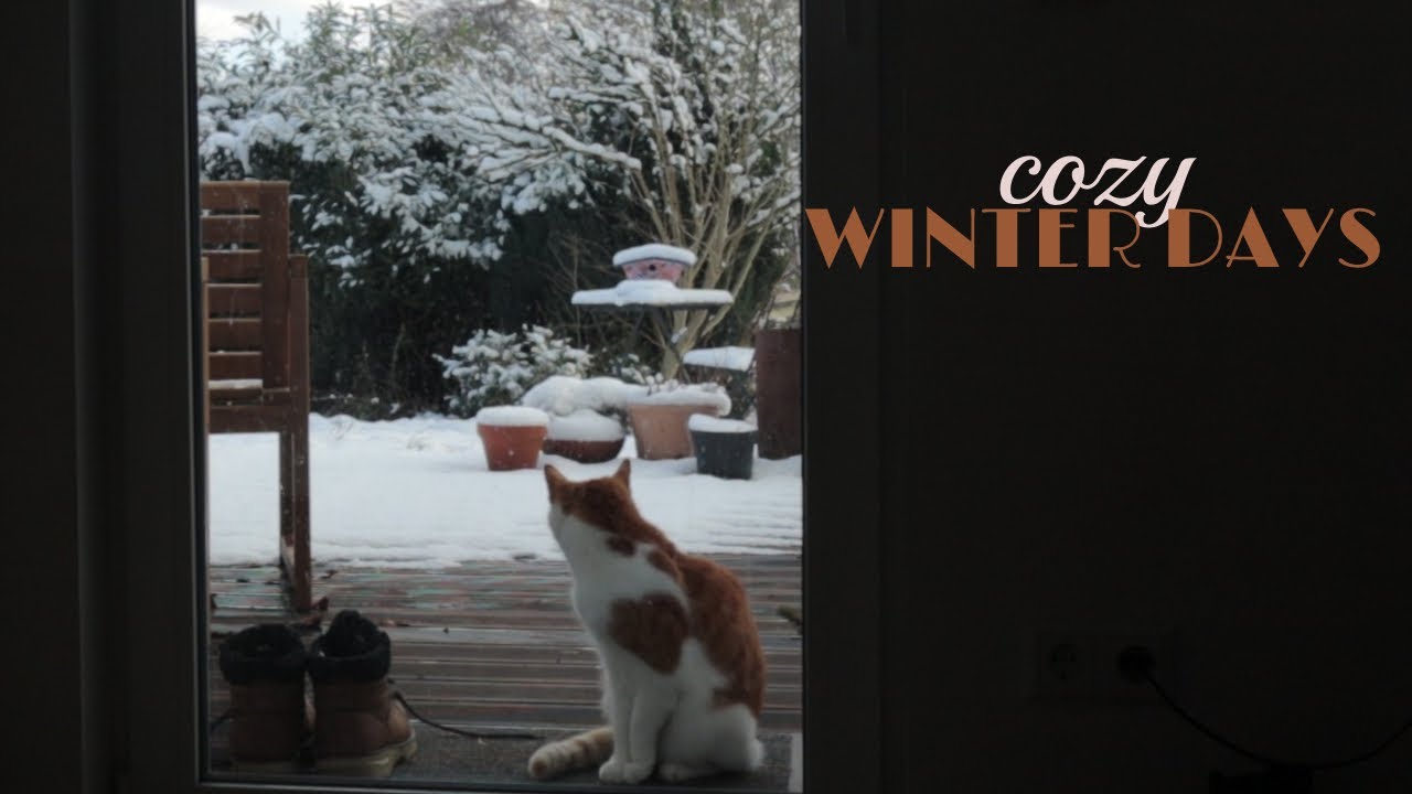 ❄️ slow winter days ❄️ / cozy days / 🥨 pretzel recipe 🥨 / winter kitchen