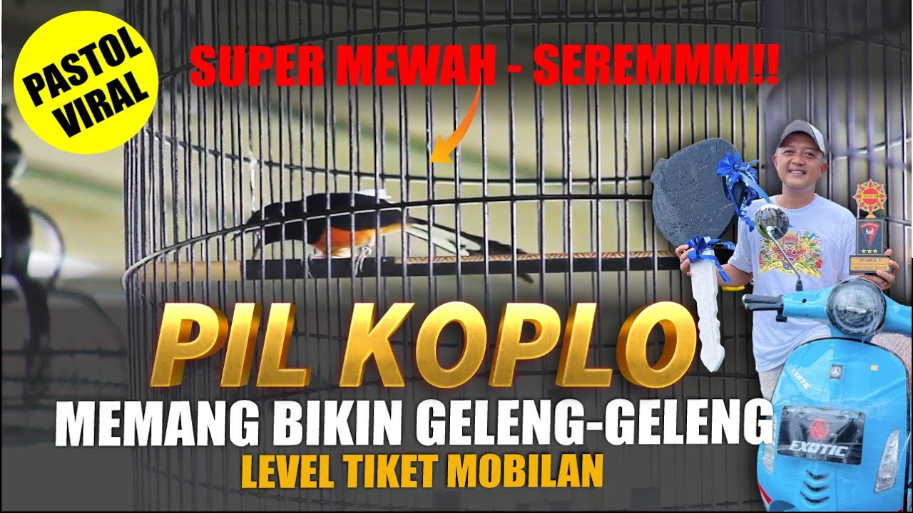 SEREEMM🔥 Murai Batu PIL KOPLO Levelnya Tiket Mobilan - Mainnya Bikin Geleng2x