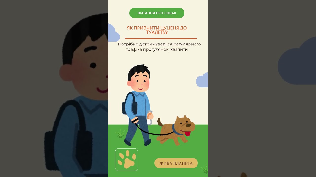 #PetCareTips