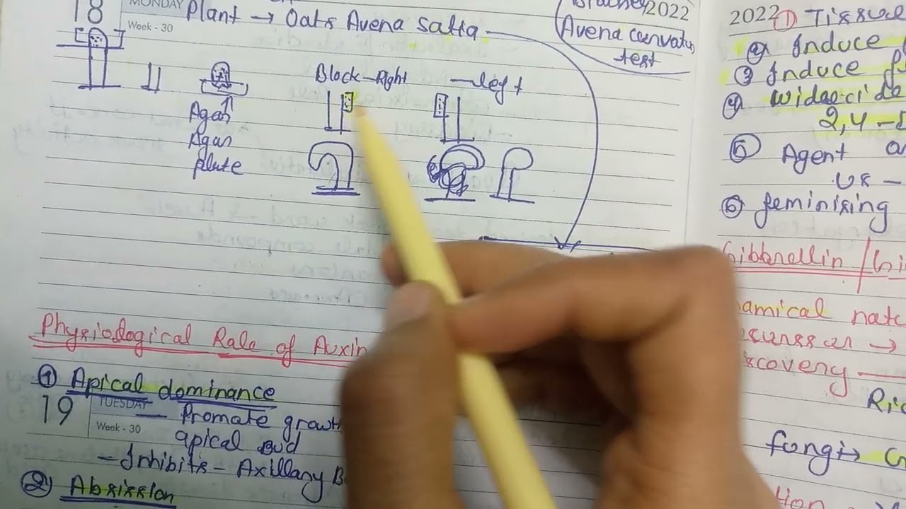 Phytoharomone PGR-(plant growth regulators) plant growth and development 🌱🌳@studywithpriyanka720