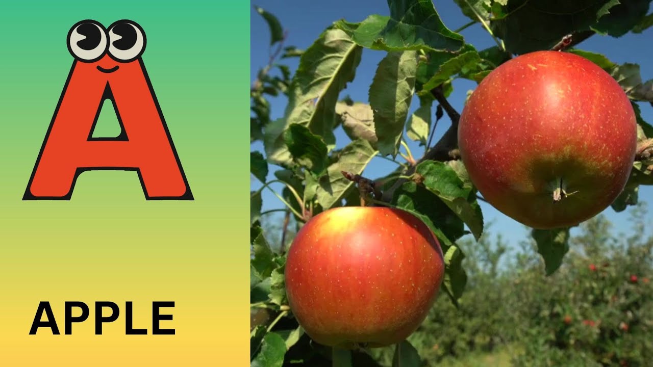 Песенка про фонетику алфавита | Звуки букв алфавита | Изучение алфавита для малышей | Детские пес...