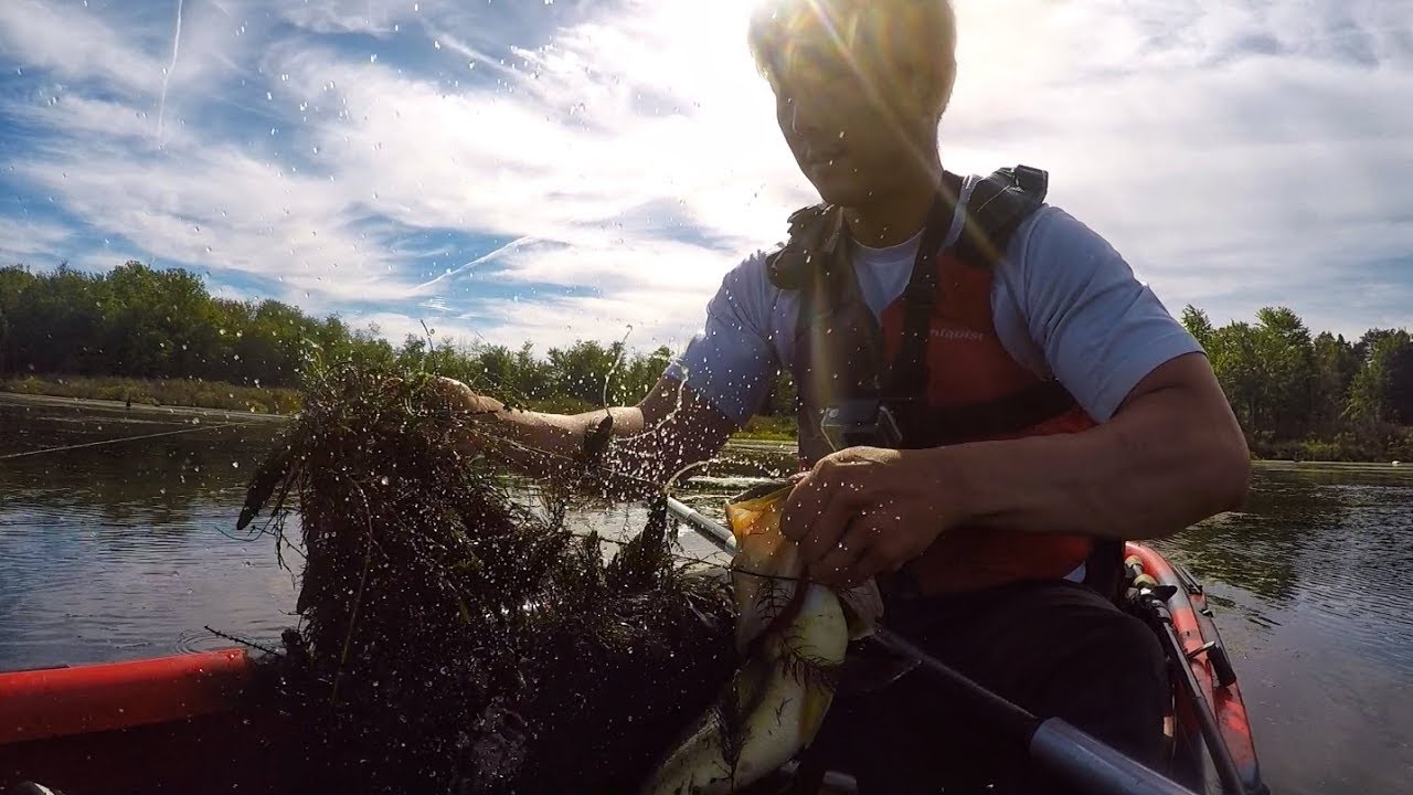 Secret Fishing spots in New York