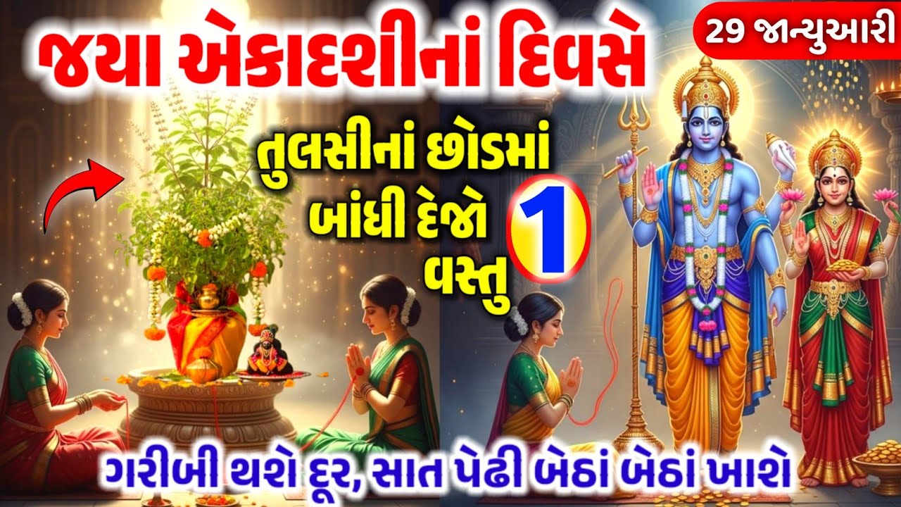 29 જાન્યુઆરી જયા એકાદશી: તુલસીમાં બાંધી દો આ 1 વસ્તુ, સાત પેઢી સુધી ધન ખૂટશે નહીં!Ekdashi Katha ​