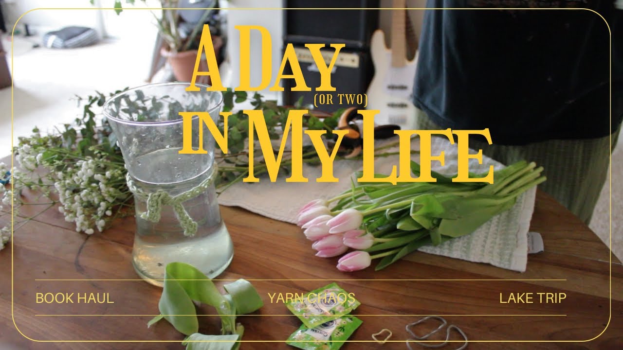 i finally got a day to myself (book haul, organizing my yarn, a trip to the lake)