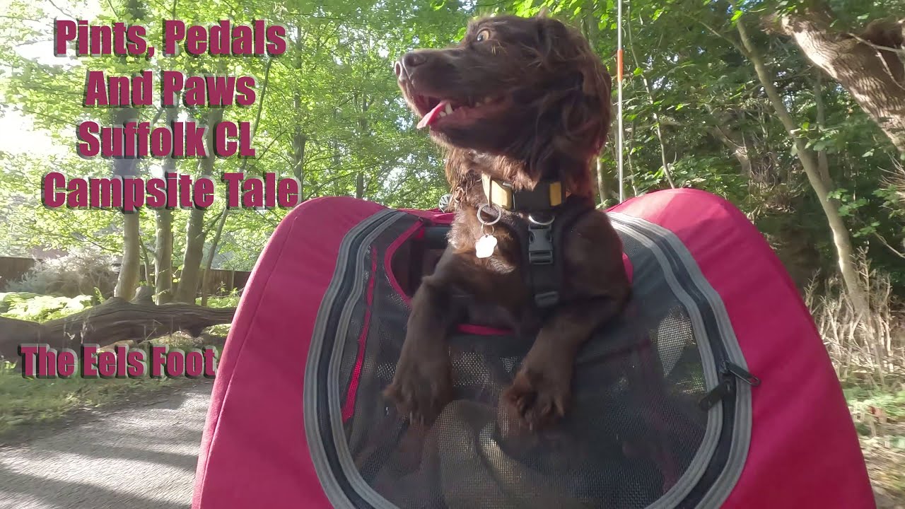 Pints, Pedals, and Paws: A Suffolk CL Campsite Tale