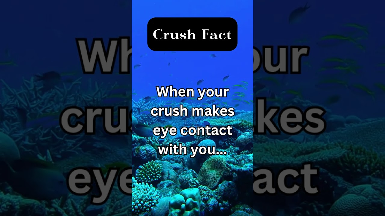 When Friends Turn Lovers