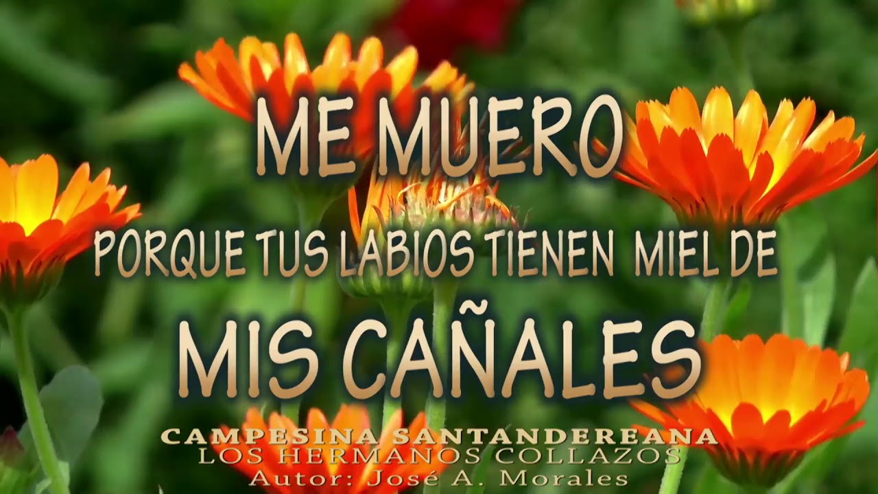 Campesina Santandereana - Los Hermanos Collazos (Letra)