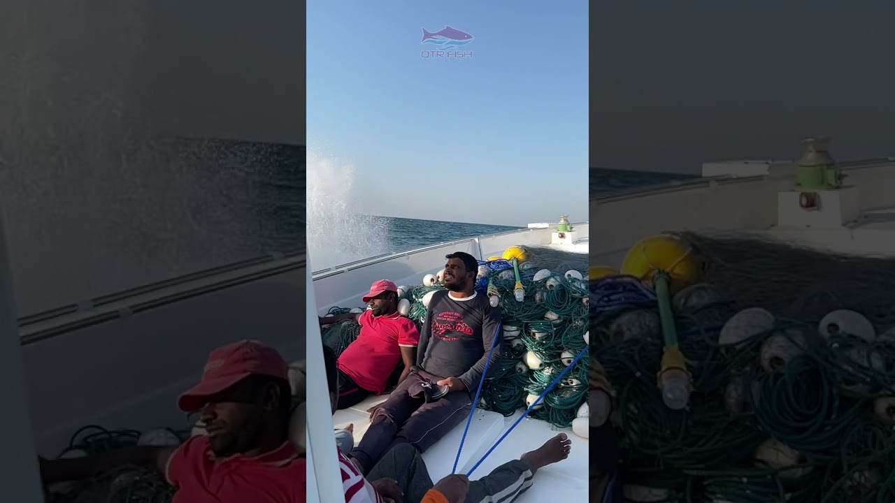 صيد الخباط بالمناصب ( الهيال )