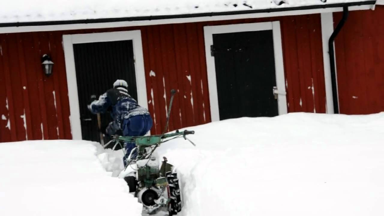 Irus vs. Swedish winter