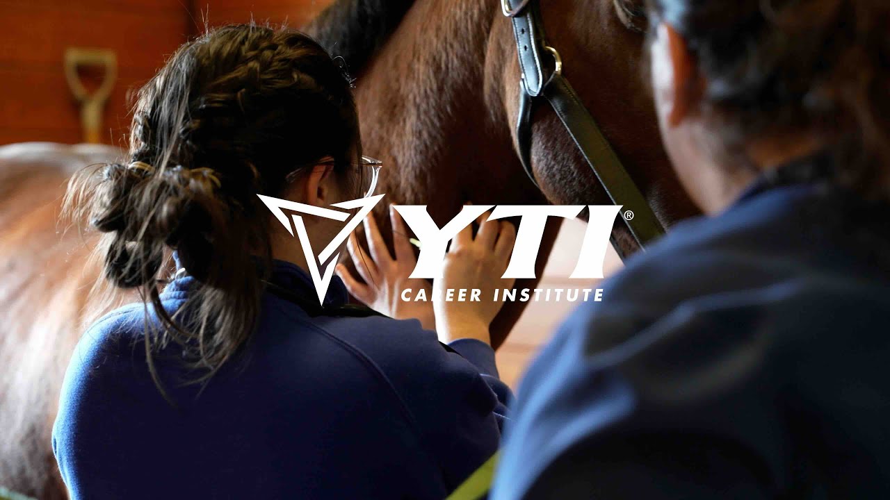 An Introduction to Working with Horses and Chickens: Leg Up Farm Field Trip