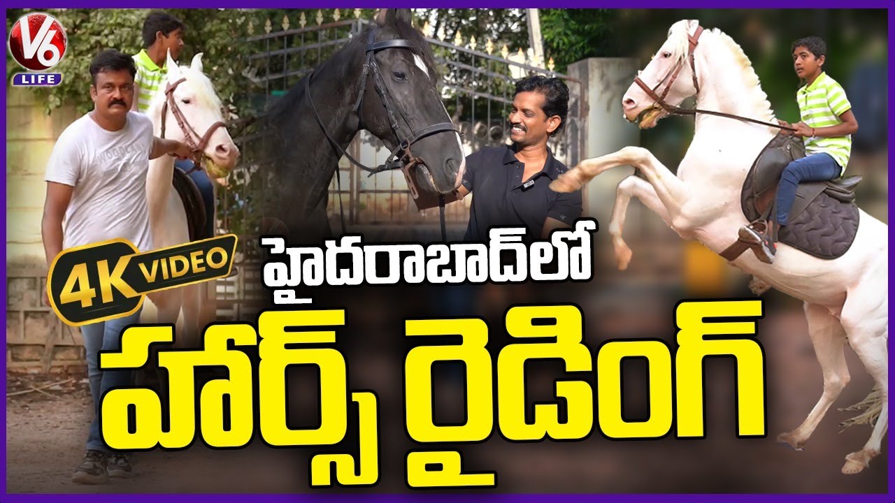 Naveen Farms :  Horse Riding Schools in Hyderabad's LB Nagar | 4K Video  | V6 Life