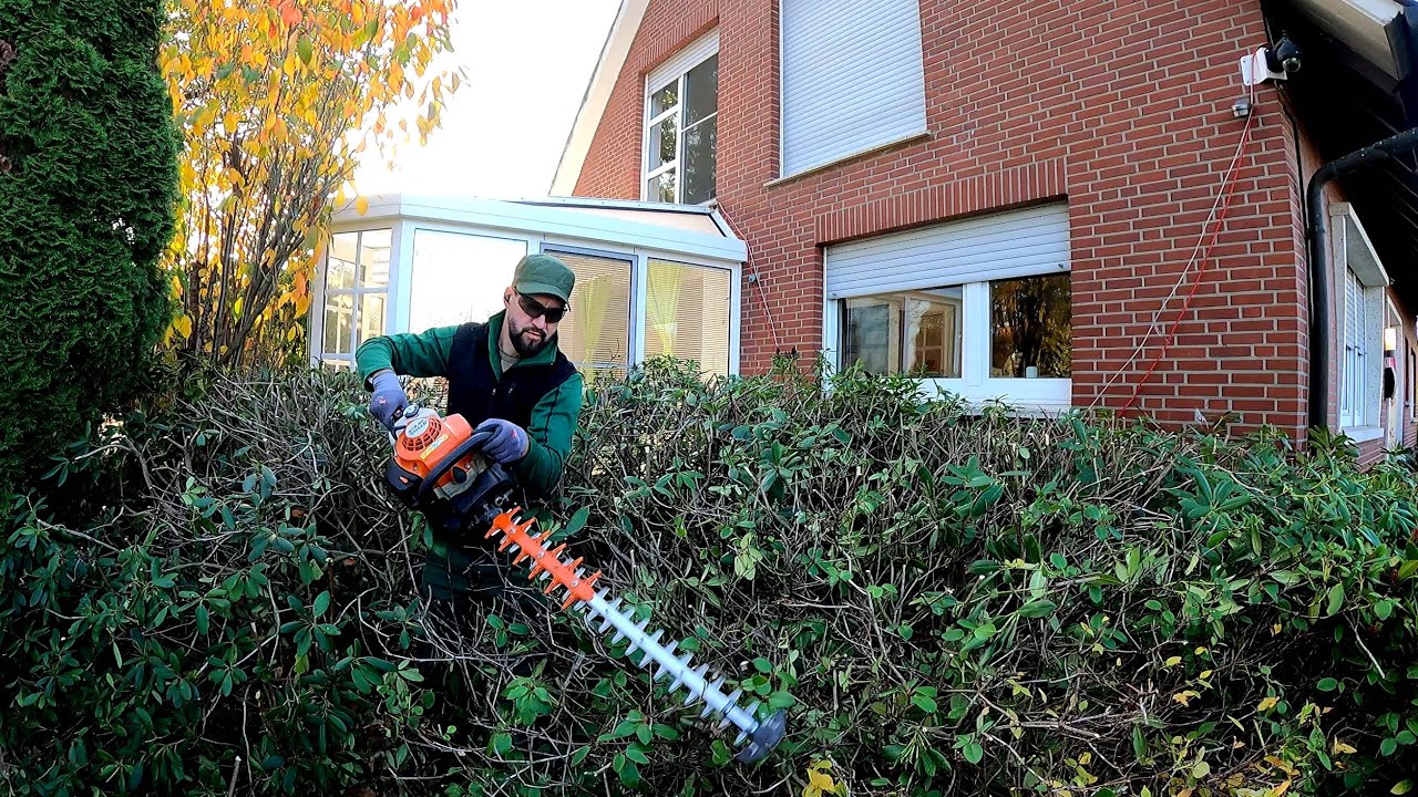 I CAME to trim the Yew Hedge, and I HAD to RADDICALLY prune the Rhododendron.