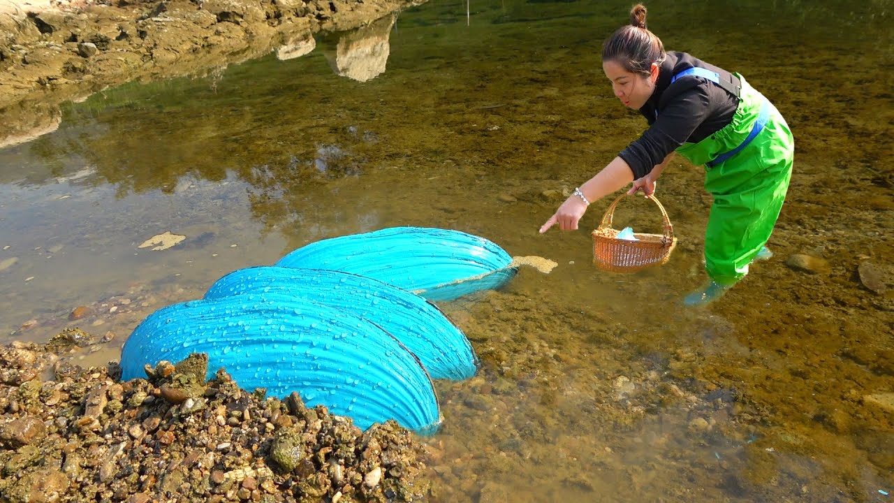 💎Shining with an astonishing light! The girl picked up a huge blue clam with amazing pearls inside