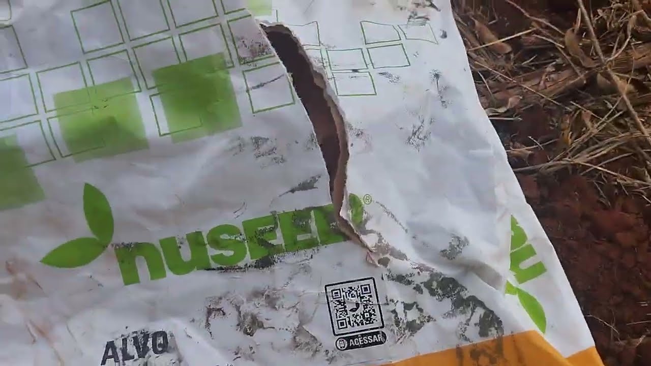 Plantio de sorgo terminado após colheita de soja 
