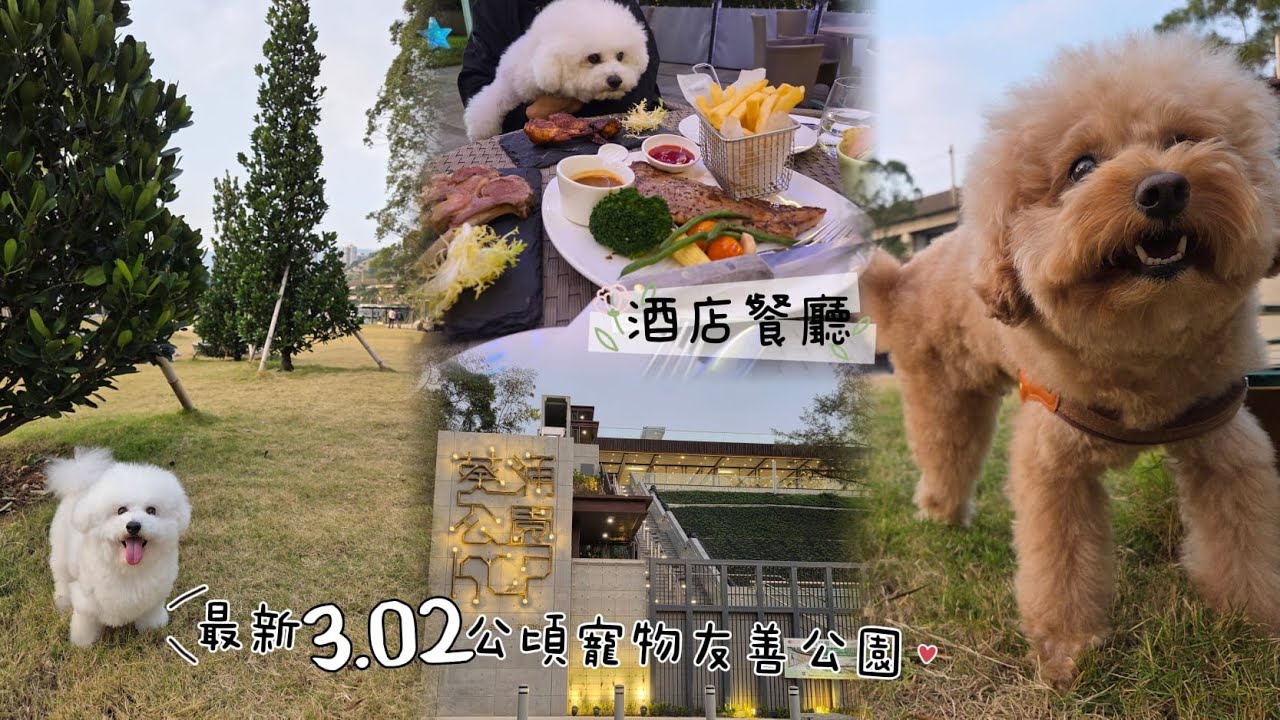 新開3.02公頃寵物友善公園及附近酒店餐廳分享【小腳掌大世界🐾】
