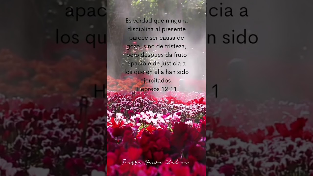 Mi Vers&iacute;culo Diario