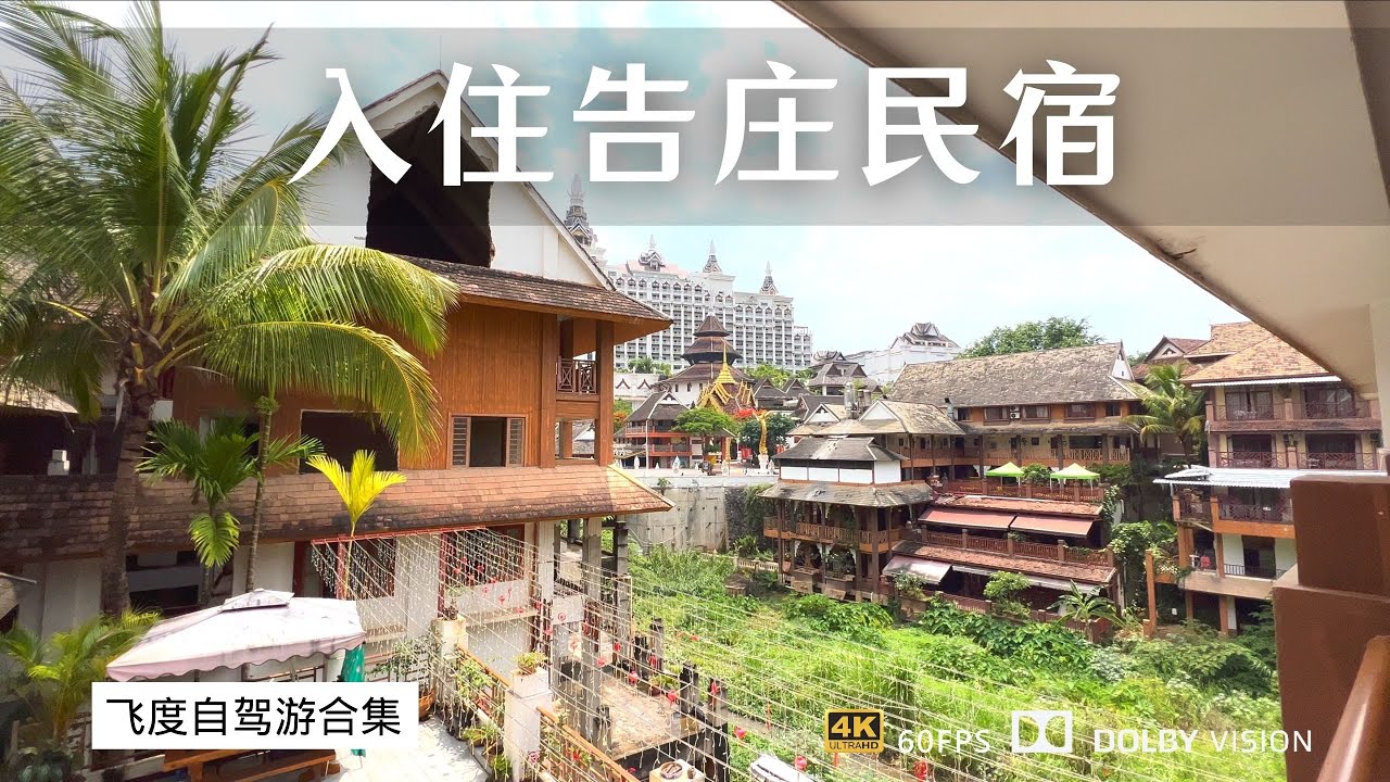 入住西双版纳告庄民宿 原来住在告庄这么方便 晚上夜市开榴莲