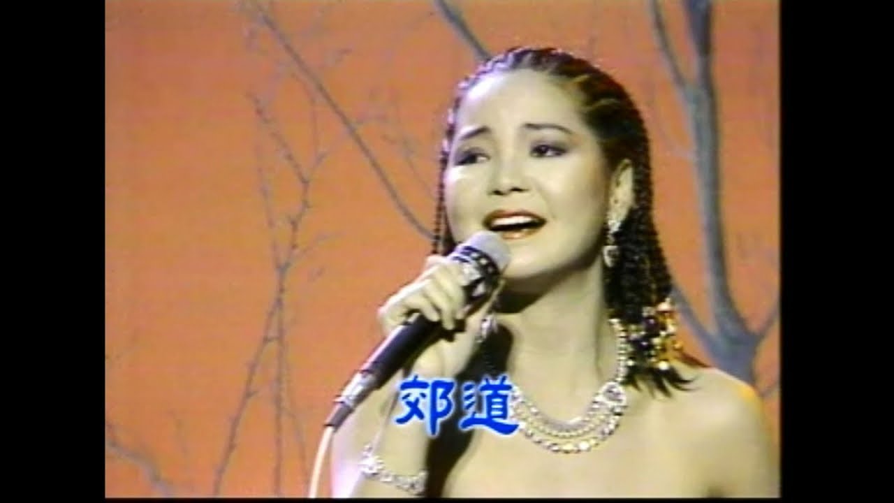 鄧麗君 - 郊道