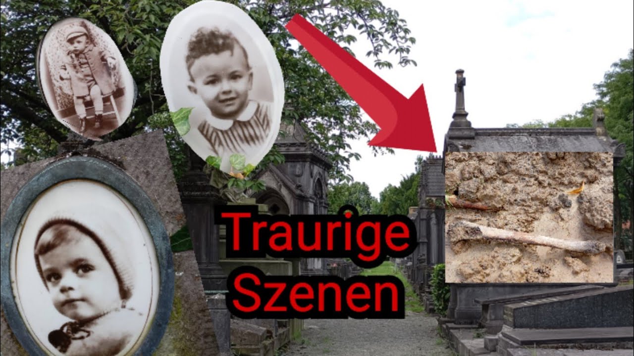 Friedhof 🔞Überall knochen aus der Erde 🆘Schock Szenen ⛔⁉️😢