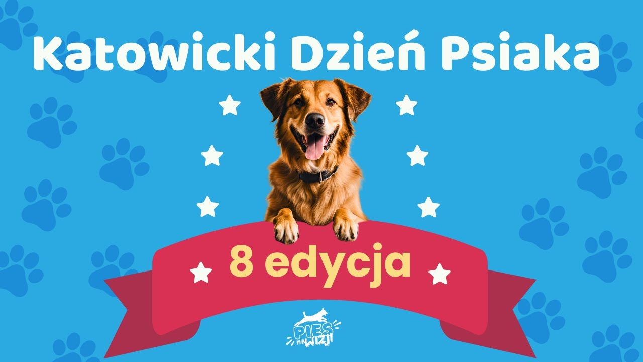 8. Katowicki Dzień Psiaka 2024