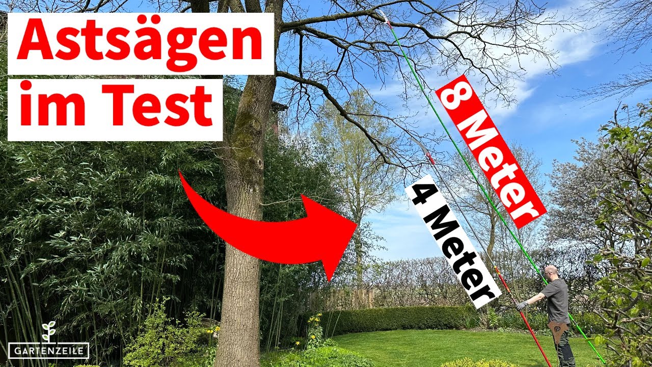 Teleskop-Astsägen / Hochentaster im Test [Äste in über 9 Metern Höhe schneiden]