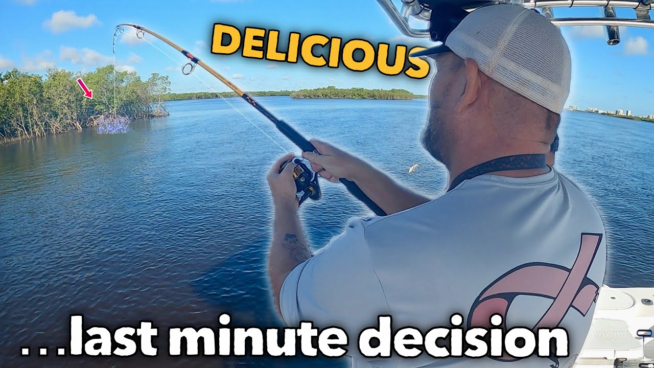 Спонтанный лов рыбы на берегу и приготовление!