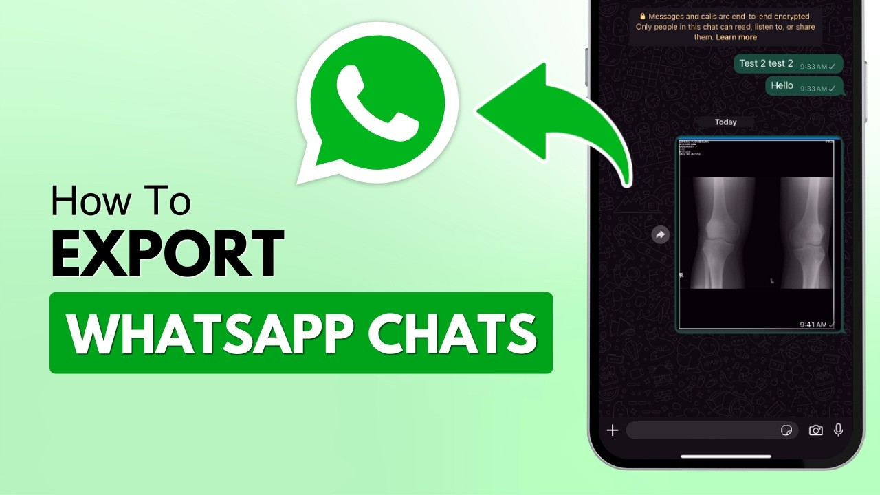 How To Export Your WhatsApp Chat History (Step-By-Step)