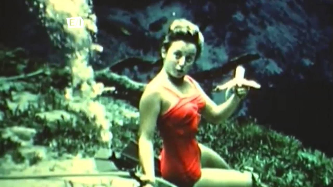 Weeki Wachee Springs, FL - Travel Thru History