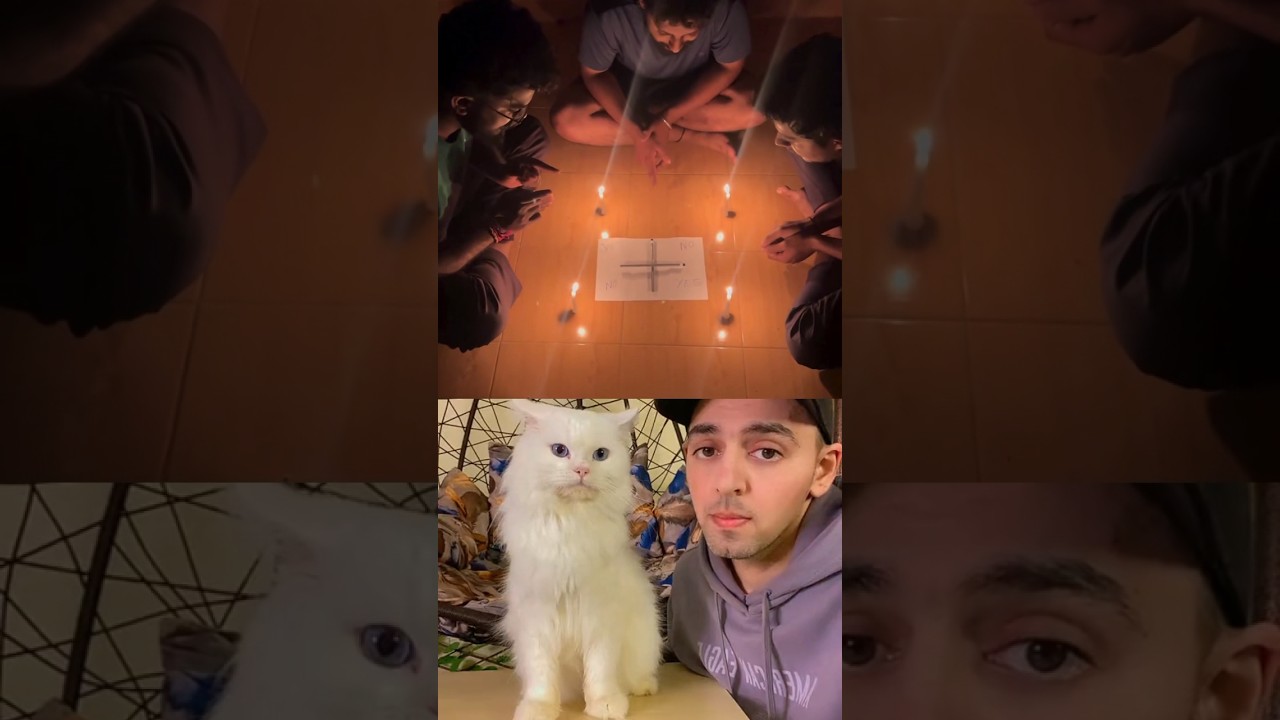 Charlie charlie are you here 😱💀 #shorts #viral #scary #short #viralvideo #trending #horrorstories