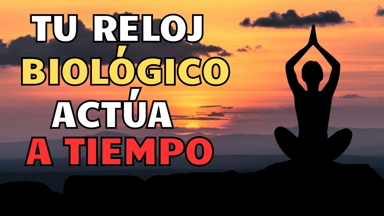 Estructura tu día perfecto según la ciencia