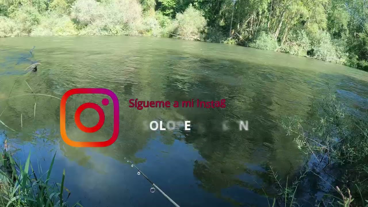 PESCA A CUCHARILLA PARTE 2