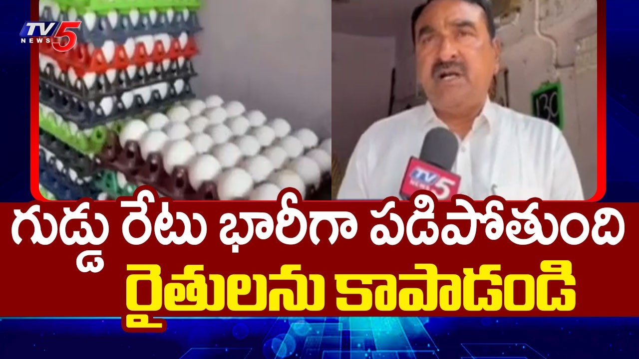 Errabelli Pradeep Rao Face to Face Over War Effect On Eggs || TV5 News