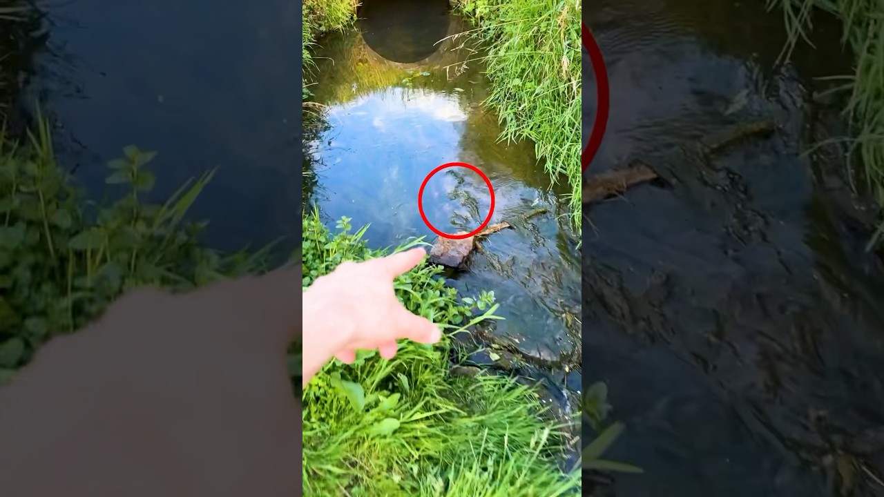 Сегодня я нашла кое-что особенное😱