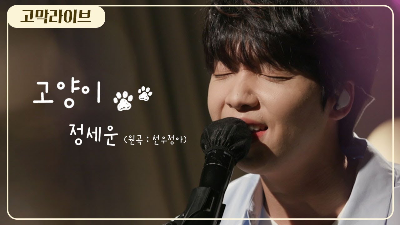 정세운 – 고양이 (원곡: 선우정아 SWJA) / Jeong Sewoon - C A T 《고막메이트/고막라이브》
