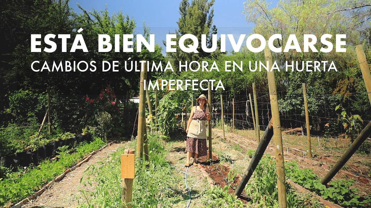 Arreglando errores antes de que sea tarde! 😱🍅 | Tareas y Trasplantes en la #huertafamiliar