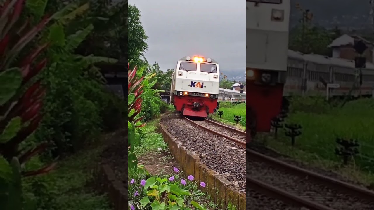 kerata API dari stasiun singosari Malang #train #travel #shorts