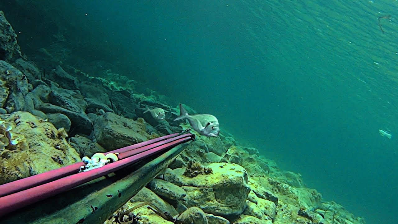 [PESCA SUBMARINA en EMBARCACIÓN] BUSCANDO PESCADO en CALAS PERDIDAS de ROCA, y a POCA+MEDIA PROFUND