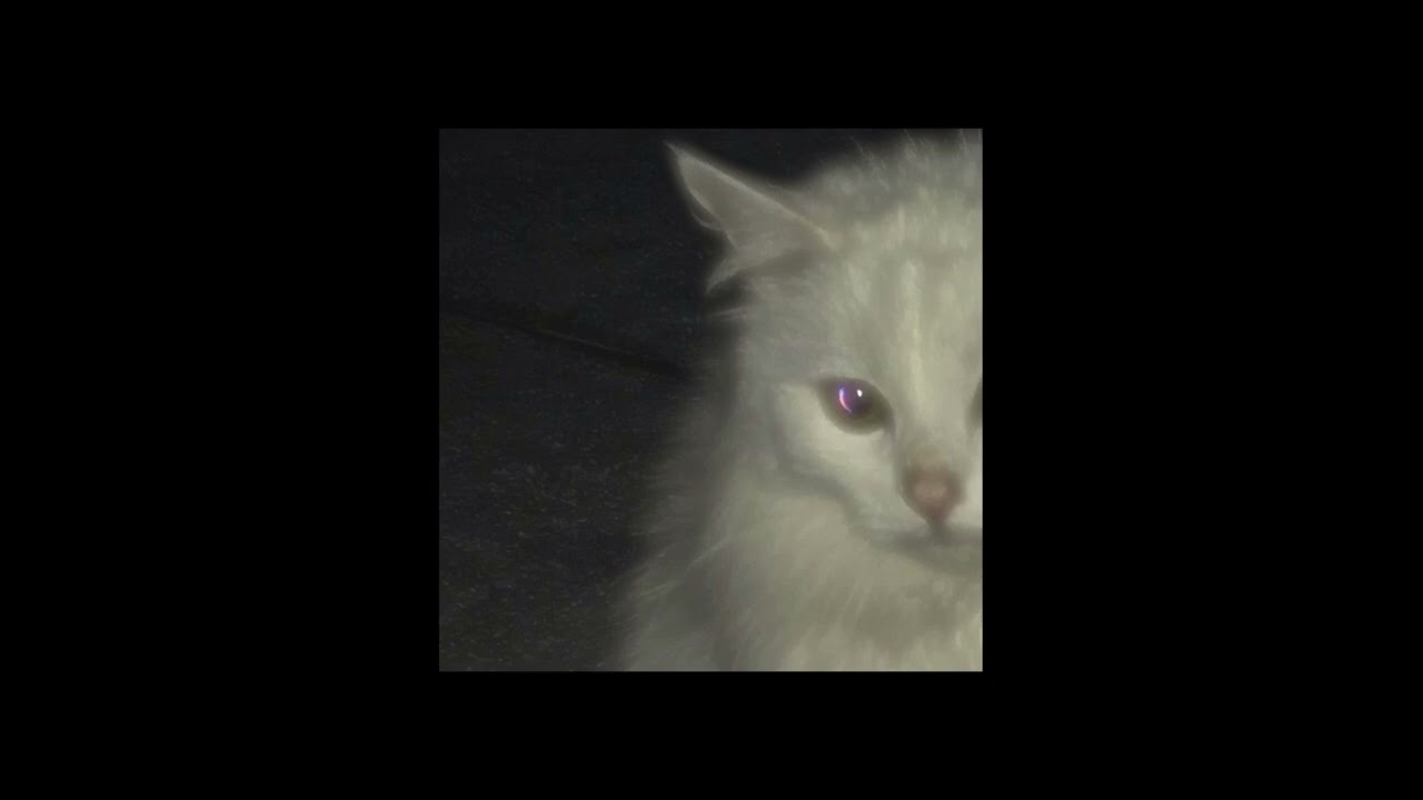 E4S - Nie chcę wiedzieć jak widzi dziś świat (Prod.@livingpuffmusic)