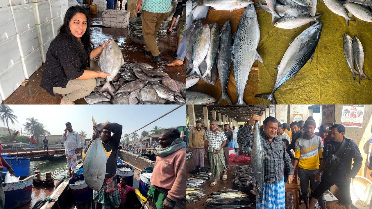 খাওয়া হয় এমন কিছু সামুদ্রিক মাছ চিনে রাখুন | River Fish Collection | Fresh Fish