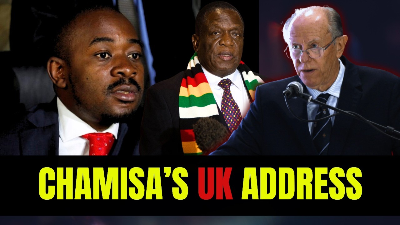 🎴Zimbabwe at a Crossroads! Chamisa Courts UK Support While David Coltart EXPOSES the DEEP Rot!