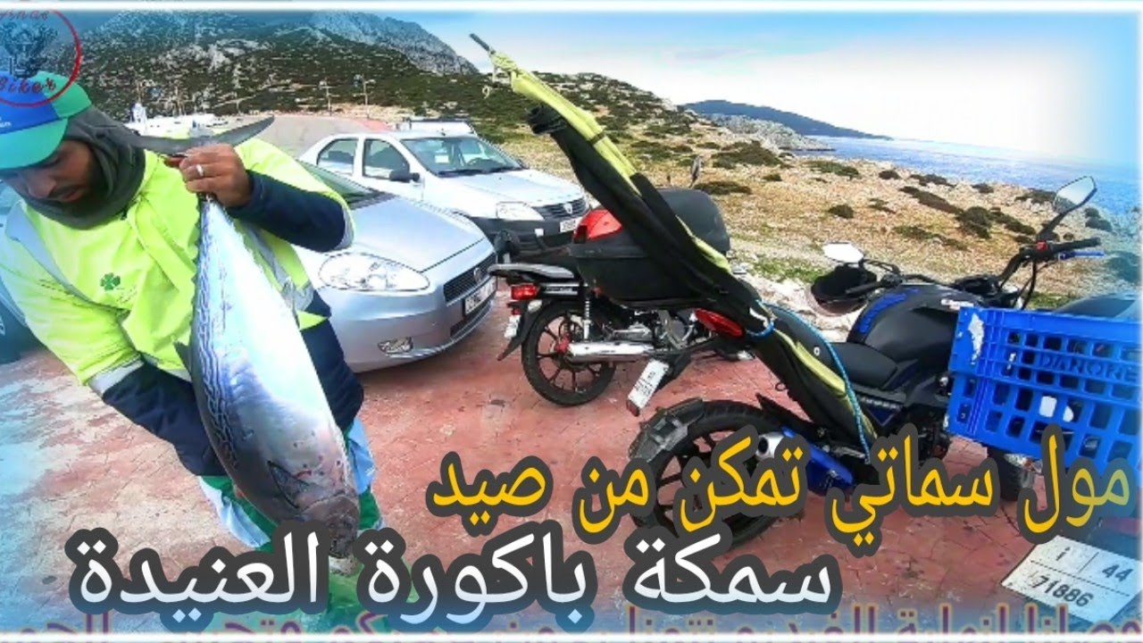 الرايس شلغلغ تمكن من صيد سمكة باكورة العنيدة/ الجزء الثاني من خرجة الصيد بالقصبة