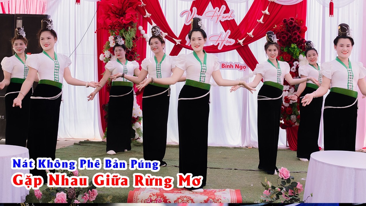 Vũ Điệu Gặp Nhau Giữa Rừng Mơ - Đội Nát Không Phê Bản Púng
