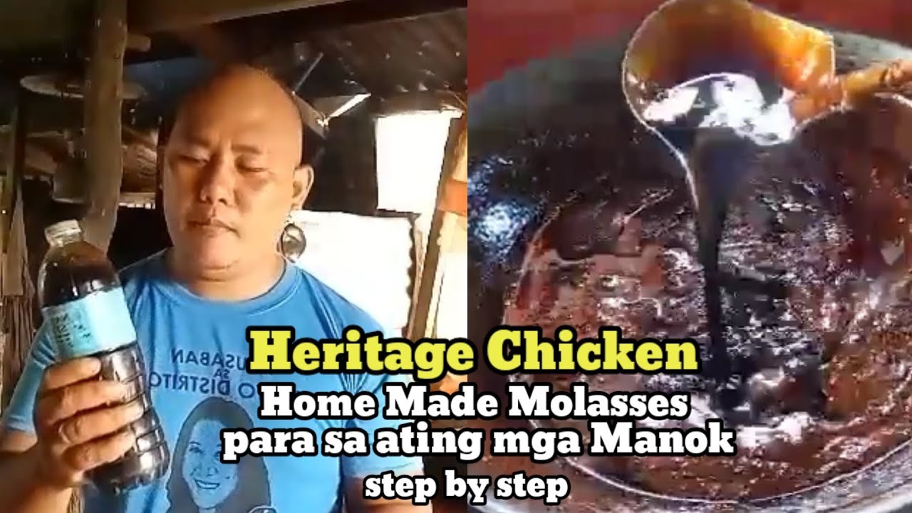 Home Made MOLASSES para sa ating mga Manok Two Ingredients || Paano gumawa nang Molasses?? vlog-7