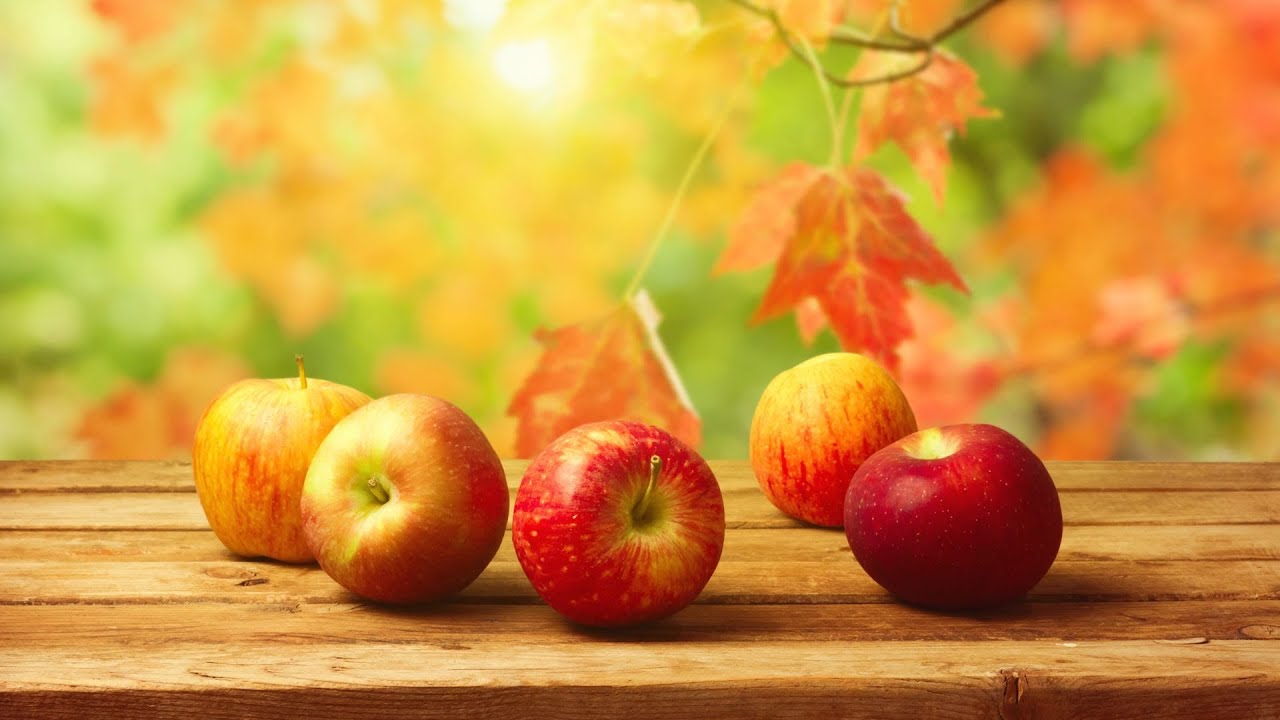 DR FF MARIMA- MIRACLE APPLE SERVICE Genesis 