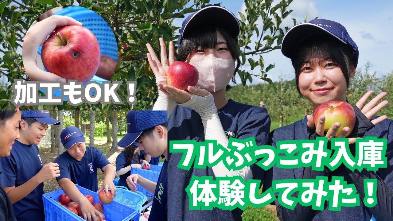 選果要らずに驚き！？農業高校生がフルぶっこみ入庫を体験！【五所川原農林高校】