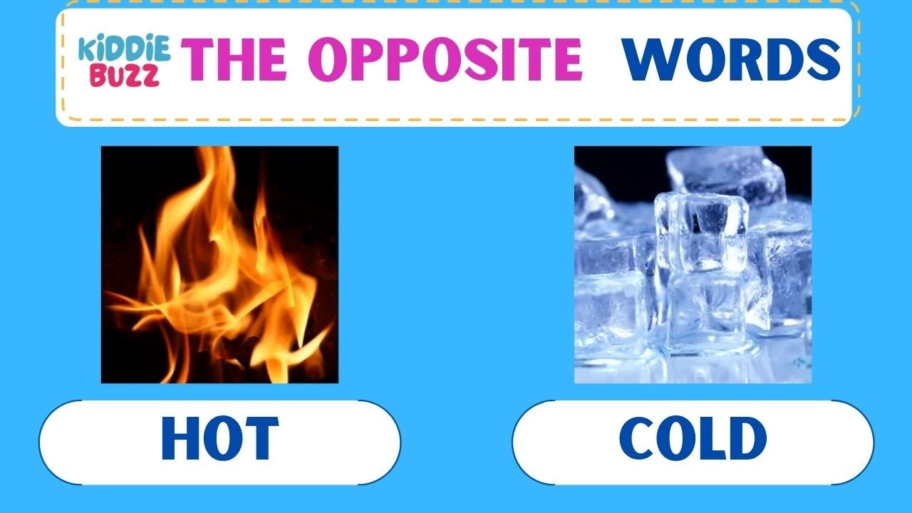 Opposite Words | Learn Opposite Words in English | Video Comparisons | Flash Cards | Kiddie Buzz